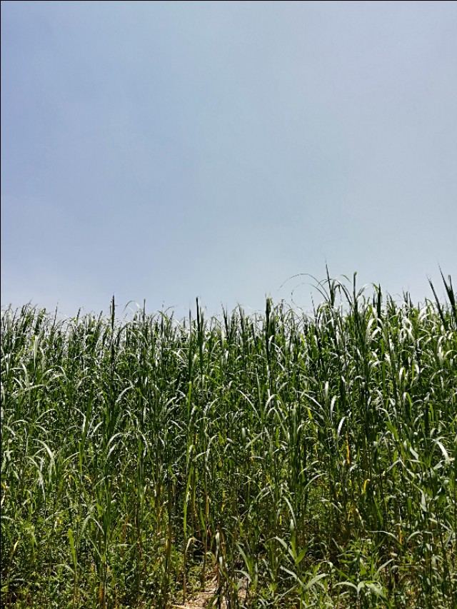 适合摩旅的景区有哪些,摩旅十大推荐景点