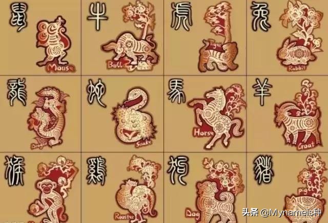 十二属相在今年每月的吉凶,十二属相各自都有什么缺人点