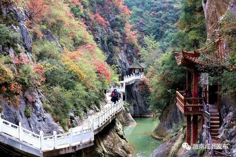 我叫成县，这是我2019年的自拍照~