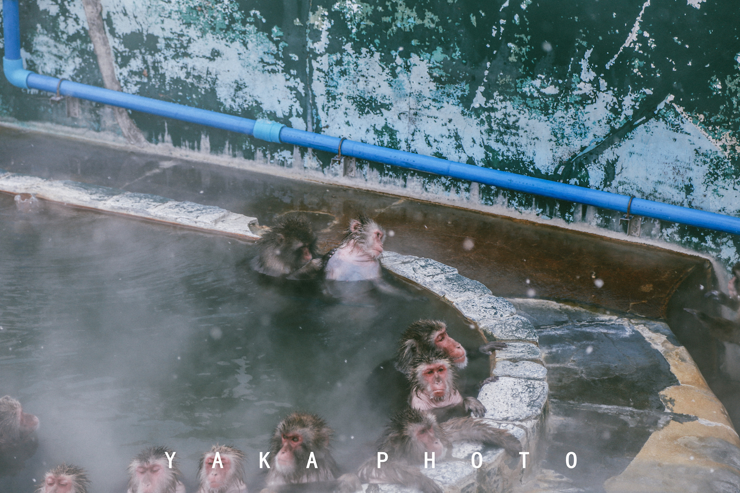 日本北海道函馆二日游自由行攻略,日本人最爱去哪里旅游