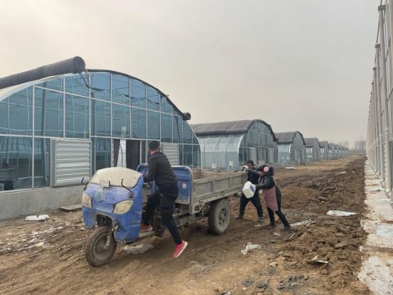菏泽马寨村别墅,山东菏泽马寨村