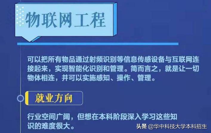 深度解读十大热门专业,重磅焦点新闻热点