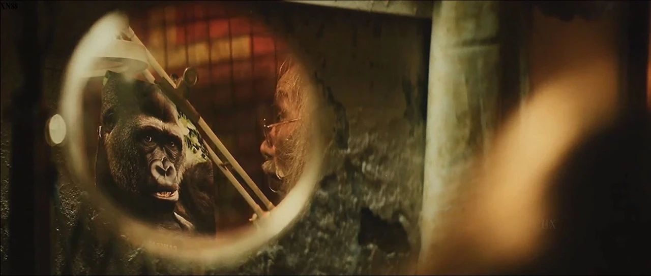 周星驰喜剧之王2是鬼片吗,周星驰鬼片片段