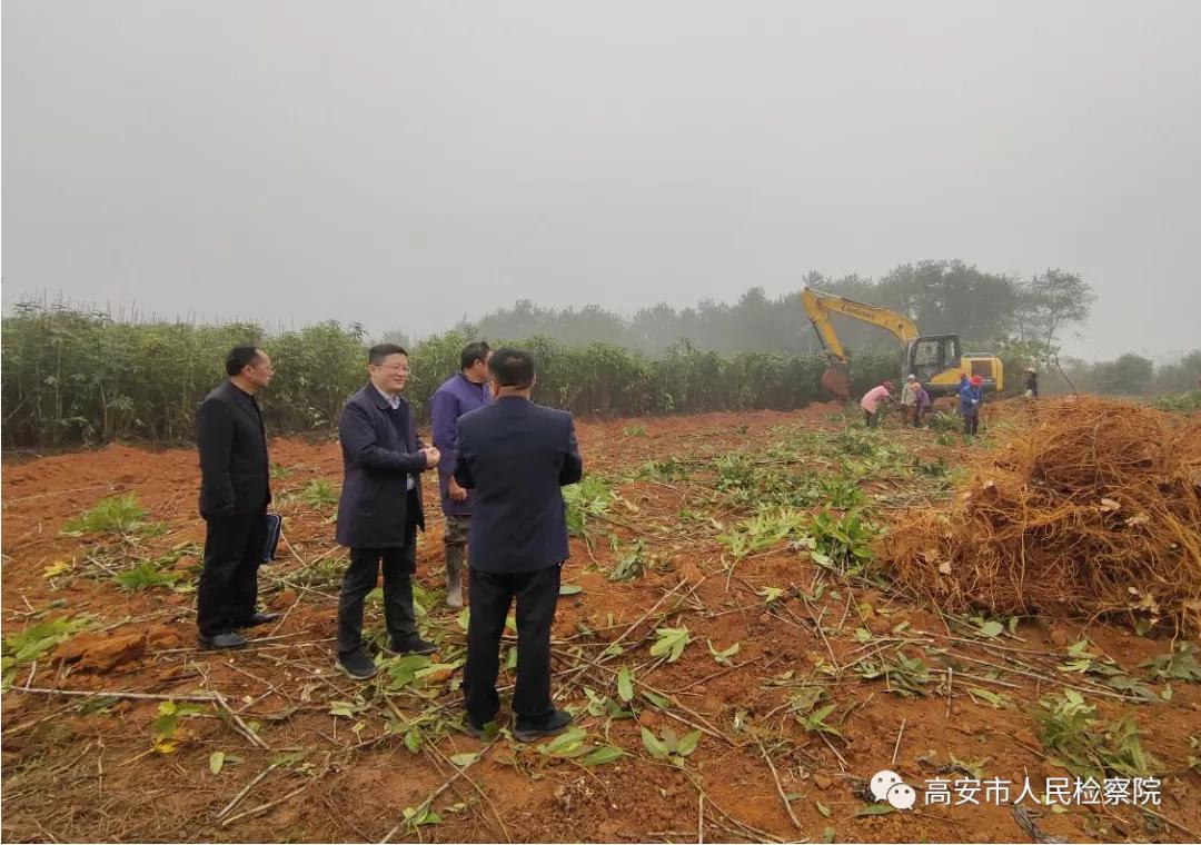 检察长调研驻村帮扶,韩建高安检察院