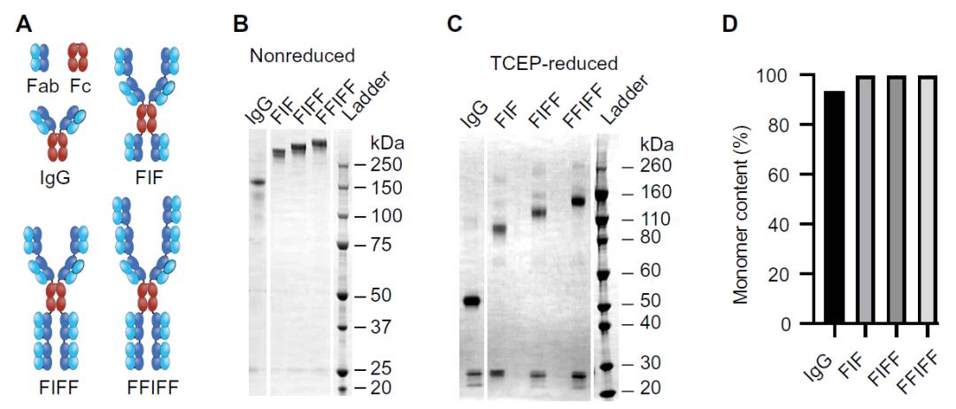 避孕药正确使用方法能百分百避孕,避孕药误区并不靠谱的避孕方法
