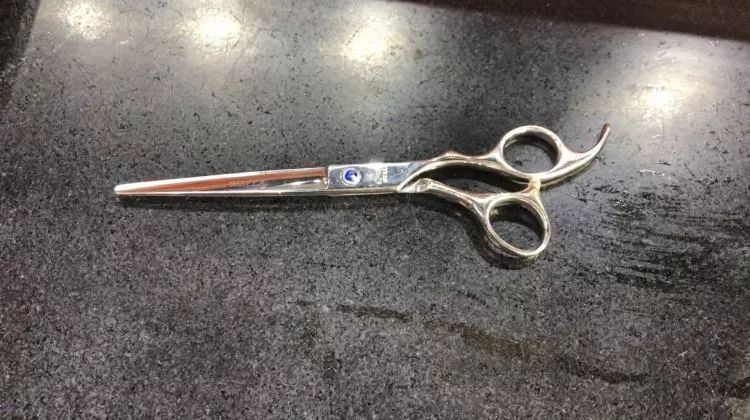 头发太长理发店不开门,头发太长去理发店找理发师剪头