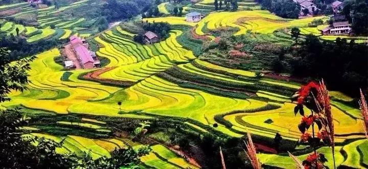 陕西省哪些市发展好,陕西各个县发展排名