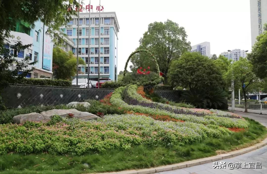 宜昌花海美景,宜昌哪里的花海最美