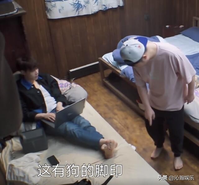 陈赫张艺兴张子枫,张艺兴陈赫张子枫