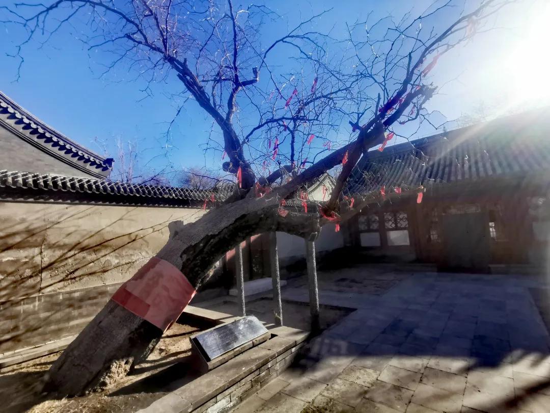 北京最有艺术气息的胡同,北京有历史文化感的胡同