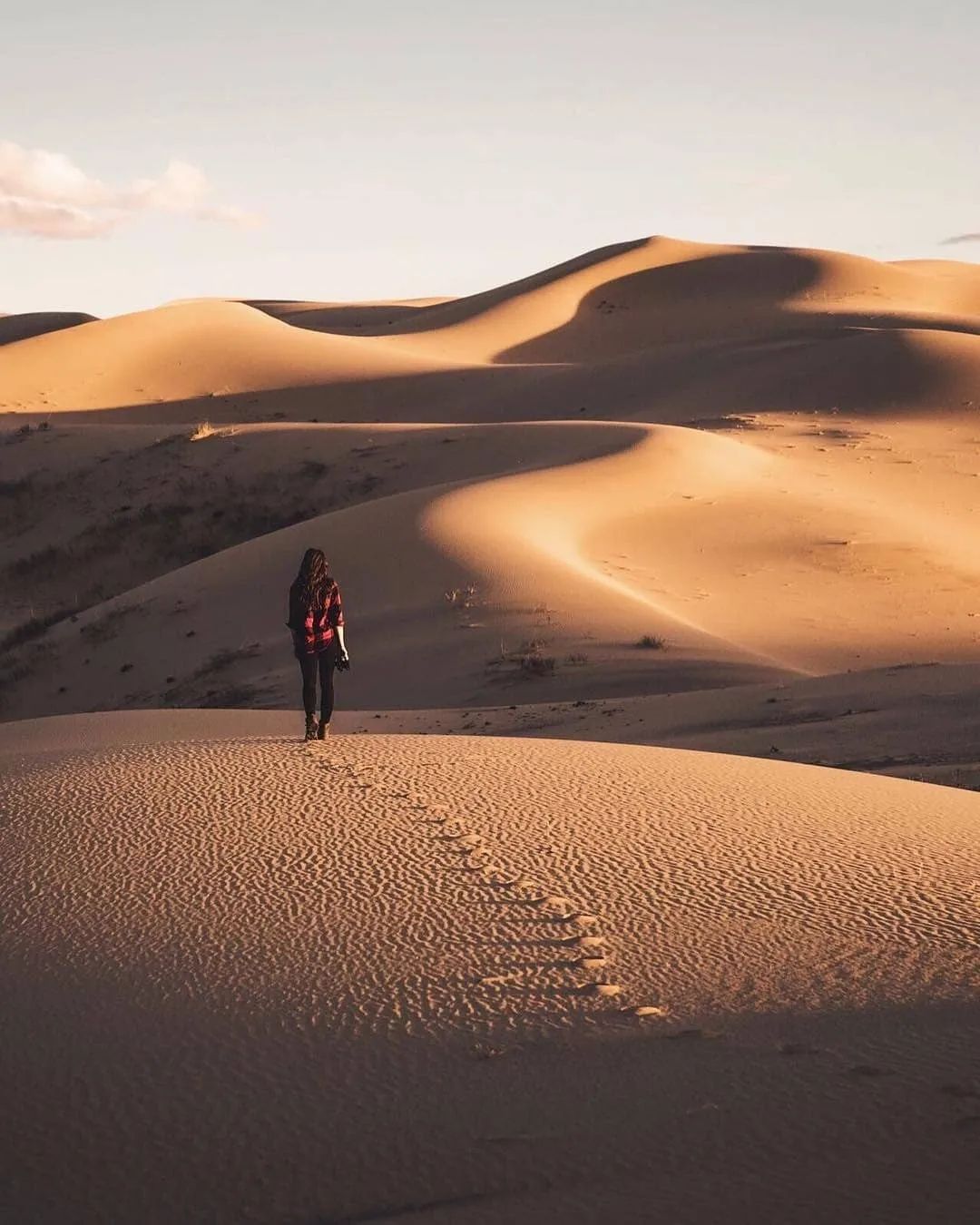 世界还有没确诊的国家,全球仅剩的4个零确诊的国家