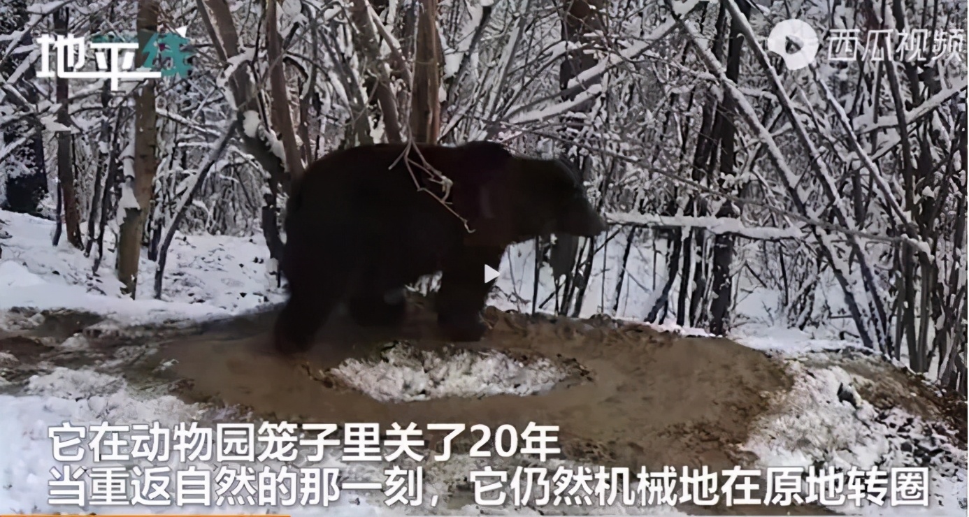 女人只要足够坏就会遇到好男人,女人只要足够优秀还要男人干嘛