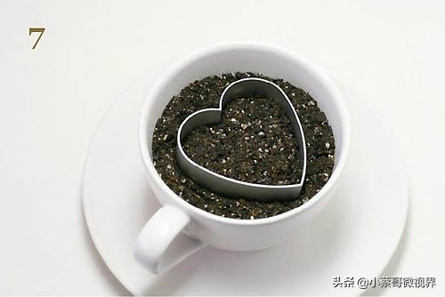 吃完的水果不要扔试试在家就能种,吃完的水果种子