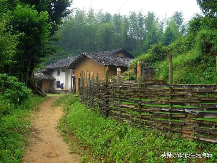 夏天庭院怎么驱除蚊子,夏天小院防蚊子妙招