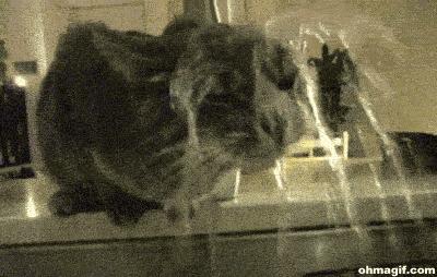 你真正了解面膜的作用吗,各种功效的面膜到底有没有用