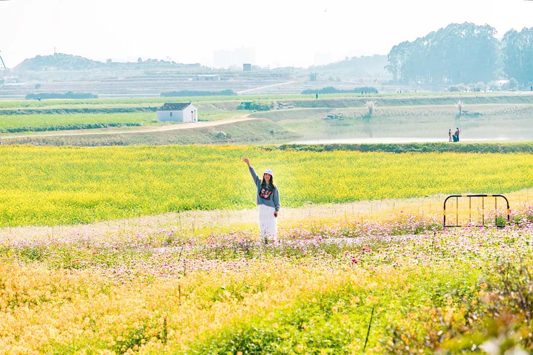 6号线都有什么景点,六号线能去的免费景点