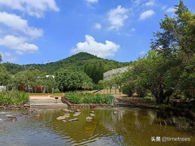 中山影视城值得去玩的地方,中山国外影视基地