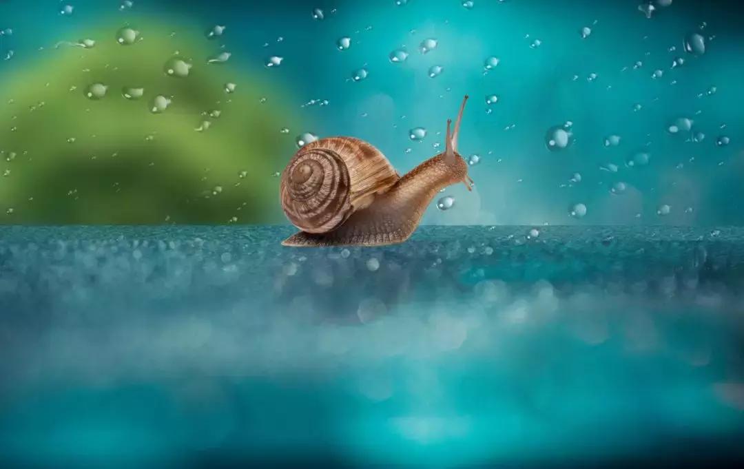 那些真正厉害的人,那些厉害的人都经历了什么