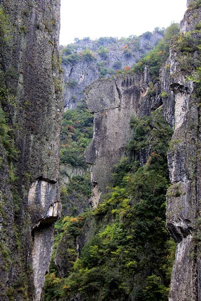 什么是巴中?这就是巴中!