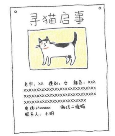 下班回家突然发现猫不见了,下班回家发现猫咪没精神