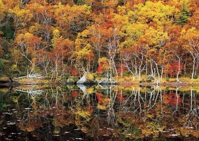 吉林美翻天旅游攻略路线,吉林必去的旅游清单