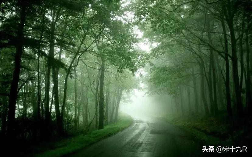 人间词话王国维原文人生三境,王国维人间词话三境