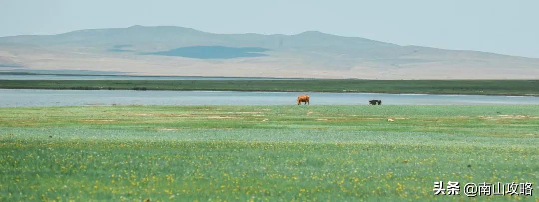8月避暑推荐 (七月避暑人少的地方)