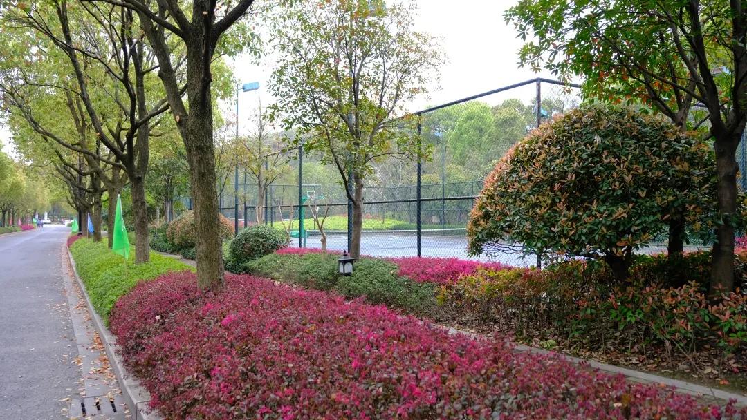 朝闻天下楼盘为什么这么便宜,潮闻天下房价