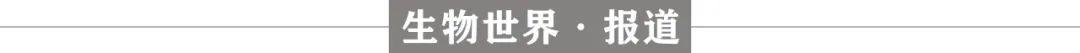 基因与干细胞治疗眼病,ipsc干细胞治疗青光眼