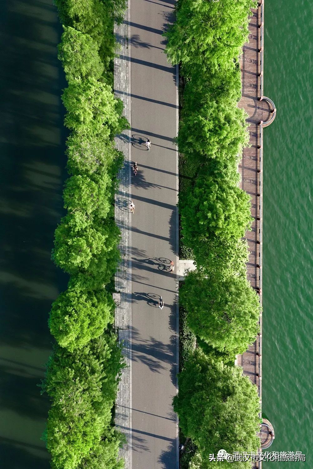 武汉环城绿道,武汉上半年全线贯通的新绿道
