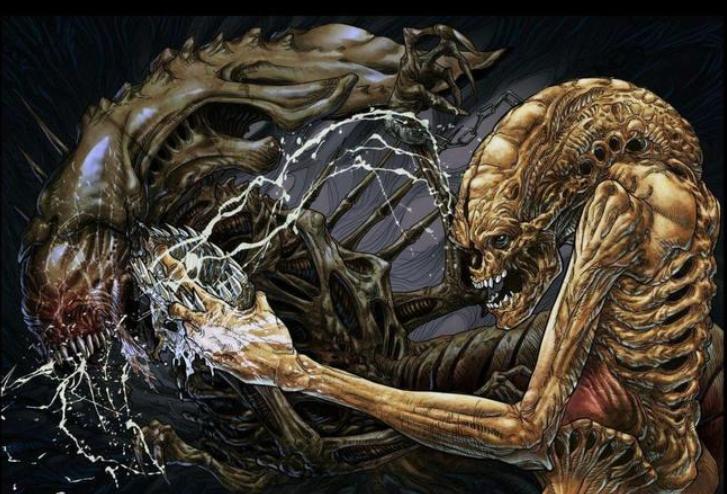 寮傚舰vs閾佽鎴樺＋娣卞害瑙ｈ,涔愰珮閾佽鎴樺＋vs寮傚舰