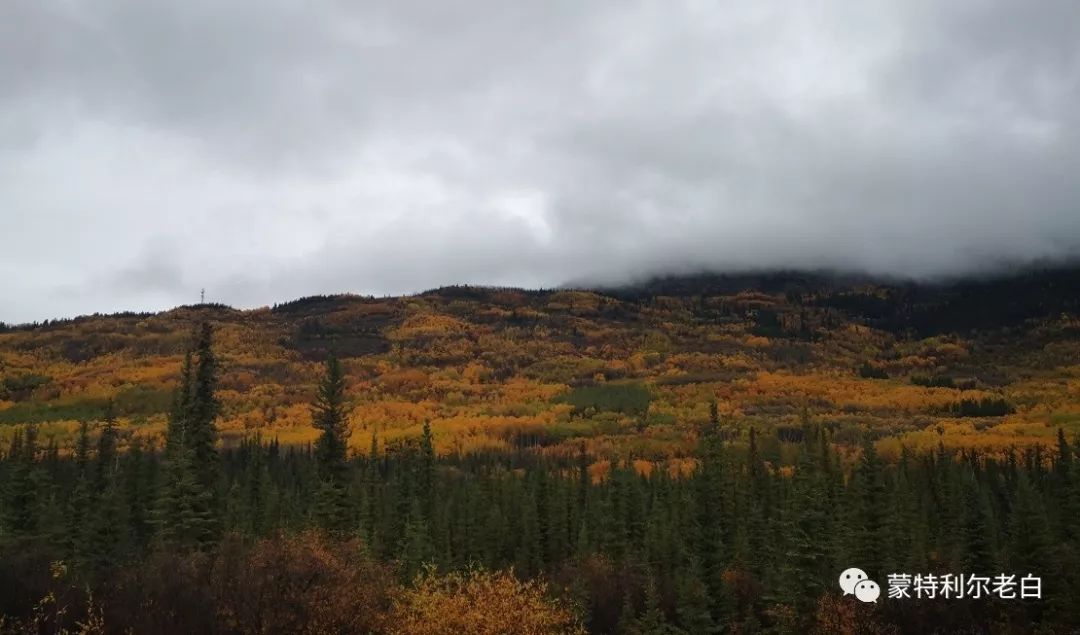 跟着老白行走加拿大，育空Watson Lake、BC省Northern Rockies