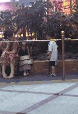 开心一刻gif搞笑动图,搞笑gif段子看起来能量满满