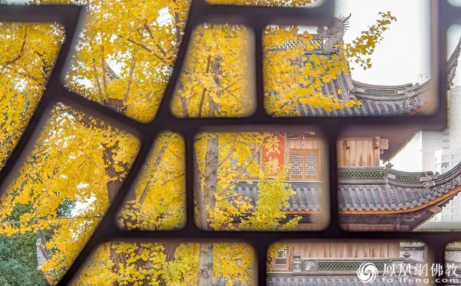 究竟什么是佛教？*京大南**学“文科院士”研究了四十年后这样说