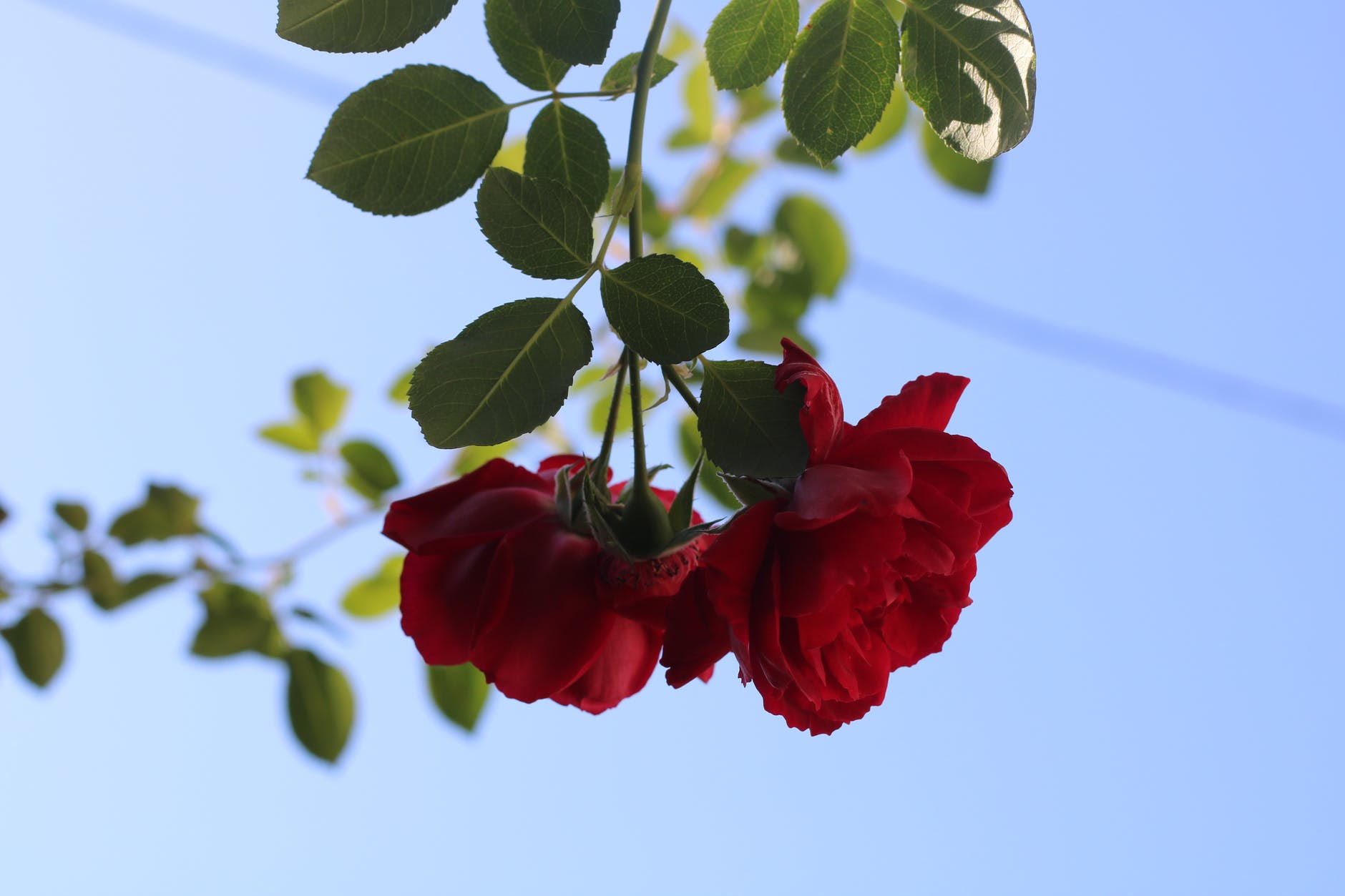 为什么会嫉妒老公的前女友,嫉妒男友的前女友