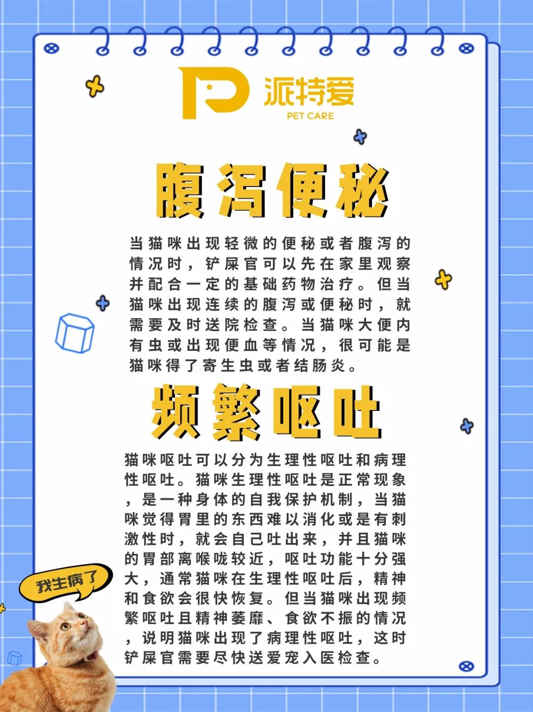养猫40条常识猫咪生病的症状,新手养猫攻略常见的猫咪疾病篇