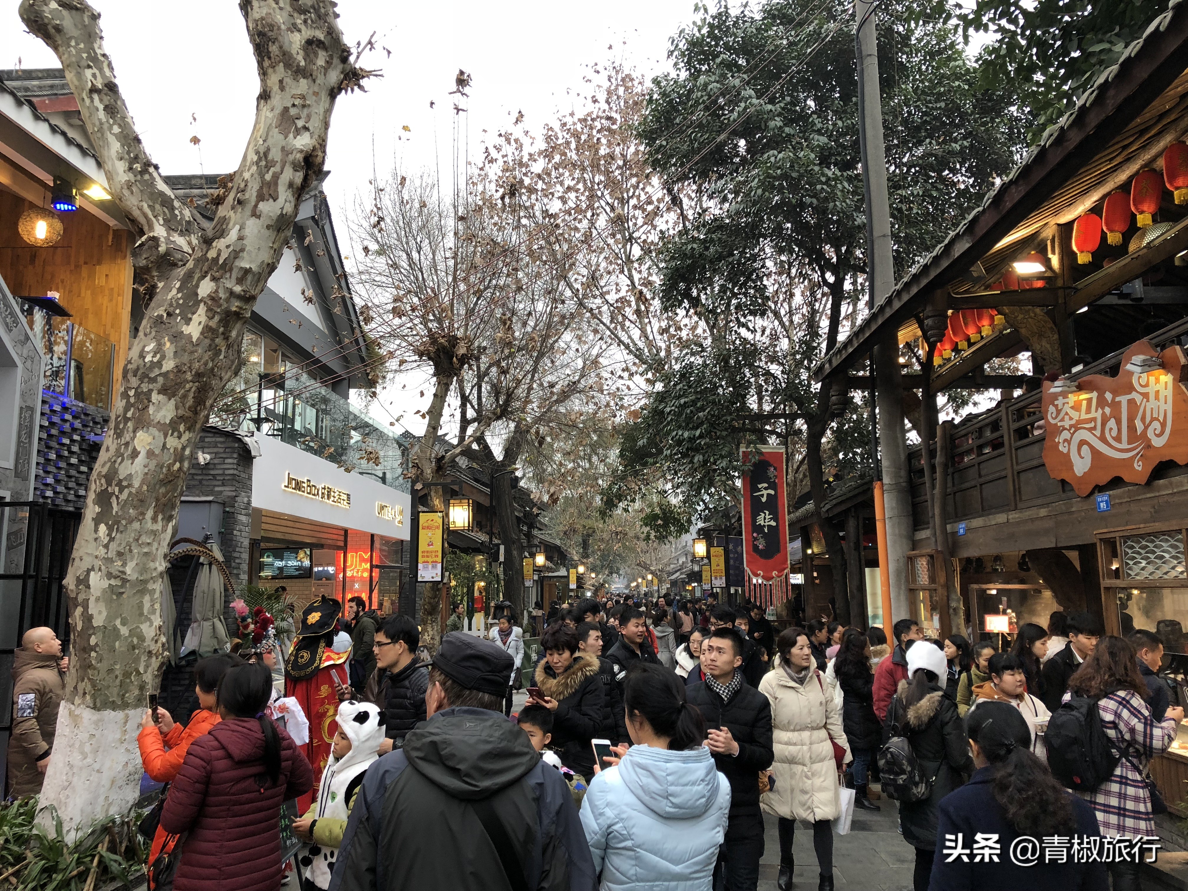 成都的美让人如此着迷，熊猫火锅麻将，春节每一景都是你来的理由