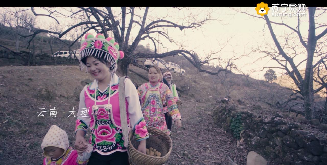 苏宁年货节家电,苏宁易购直营店年货节