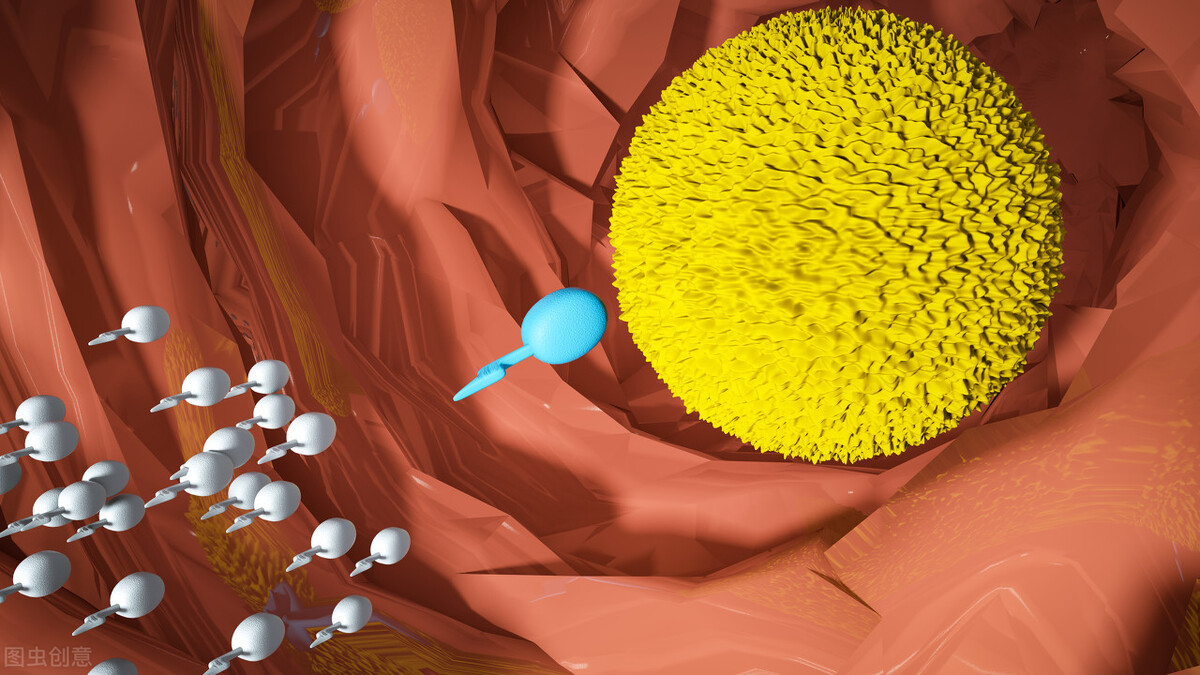 女人要保护好子宫吃什么好,女生必看如何避免子宫受损