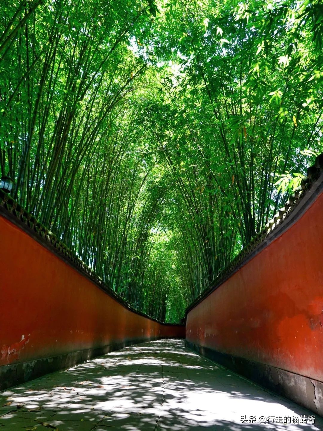 成都，为了吃值得专程来一趟，6处必打卡景点+当地人都爱的美食