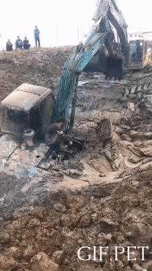 搞笑动图gif图片,搞笑动图gif图片合集