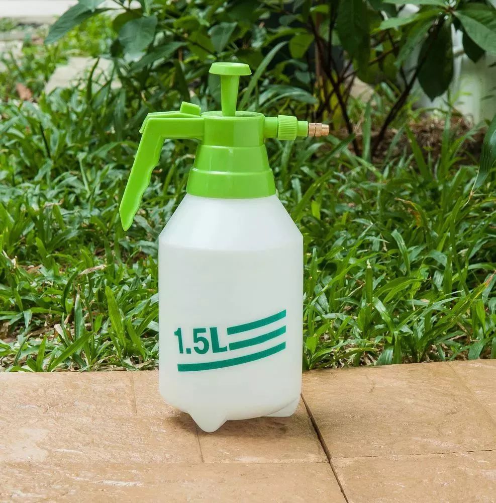 花卉上长了白色的虫怎么办,花卉上的白色小虫子