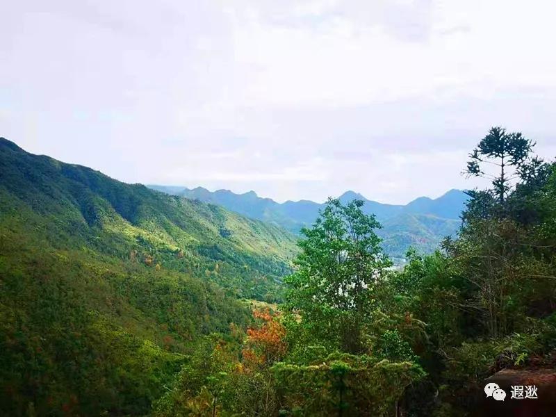 温州居然有这么美的小众景点,温州青龙山风景区在哪里
