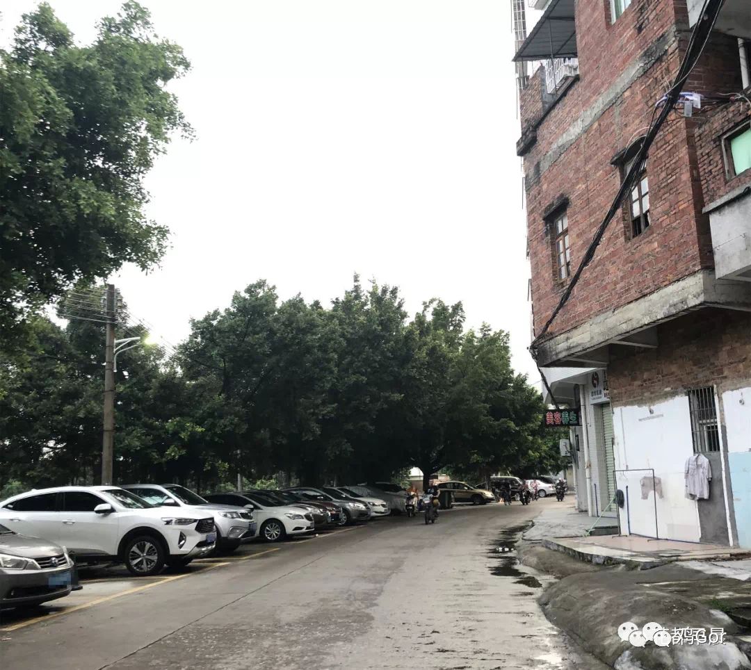 花都东镜村旧改2023计划,花都旧改重点