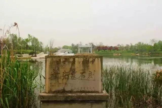 南京免费的公园,太全了