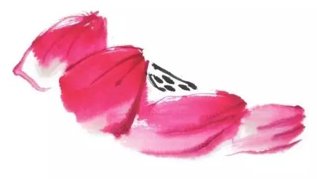 白描荷花的画法图片,如何画荷花国画白描