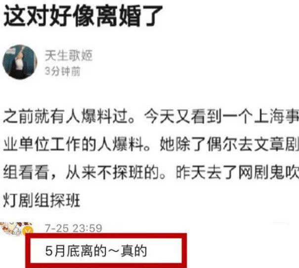 文章马伊琍离婚后的情感话语,文章马伊琍离婚后的感言