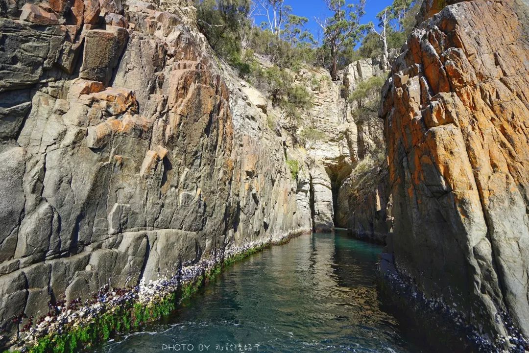去哪里旅游可以看南极企鹅,旅游攻略南极看企鹅