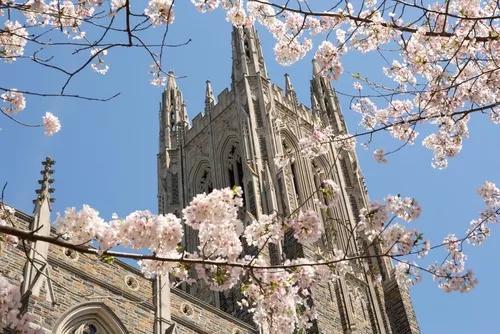 乐训星空:藤校不足0.5%的录取率说明了什么?