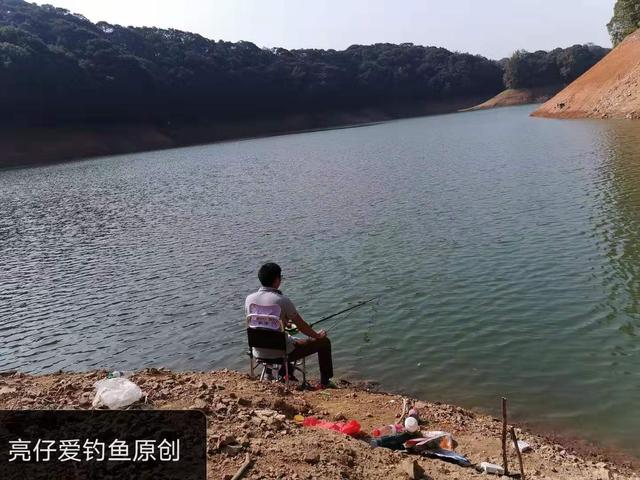 夜钓抛竿老找不准点怎么办,野钓鱼不开口抛竿节奏快还是慢